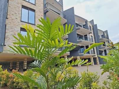 A picture of Katungi properties