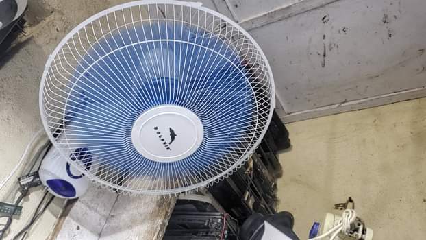 fans