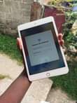 A picture of Ipad mini4