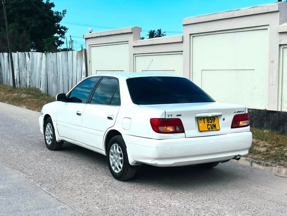 A picture of Carina 0717038027