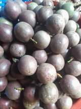 A picture of Looking for the market Passion fruits worth 1sack 6basins for