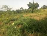 A picture of Plot size 100by85ft fram land on sale 4m located at