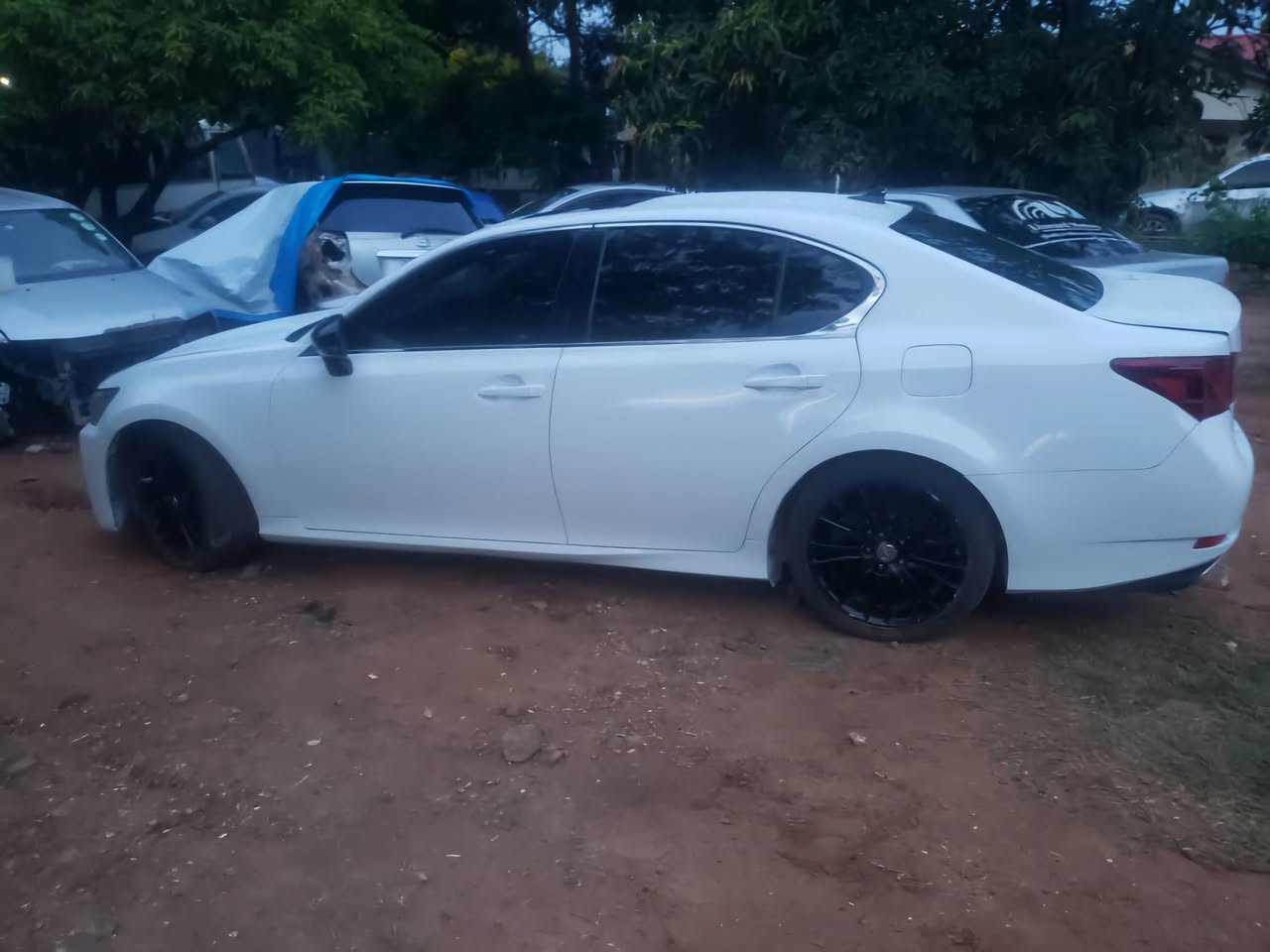lexus