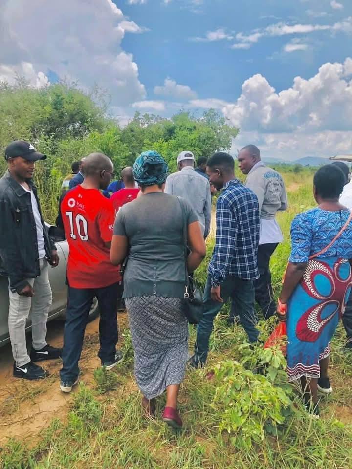 zambia plots