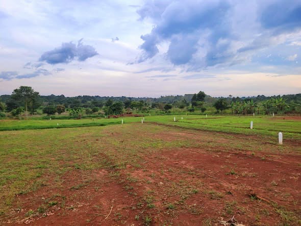 A picture of PLOTS AT GAYAZA VVUMBA 16M
