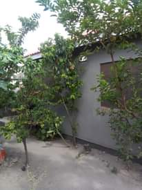 A picture of 0746367398