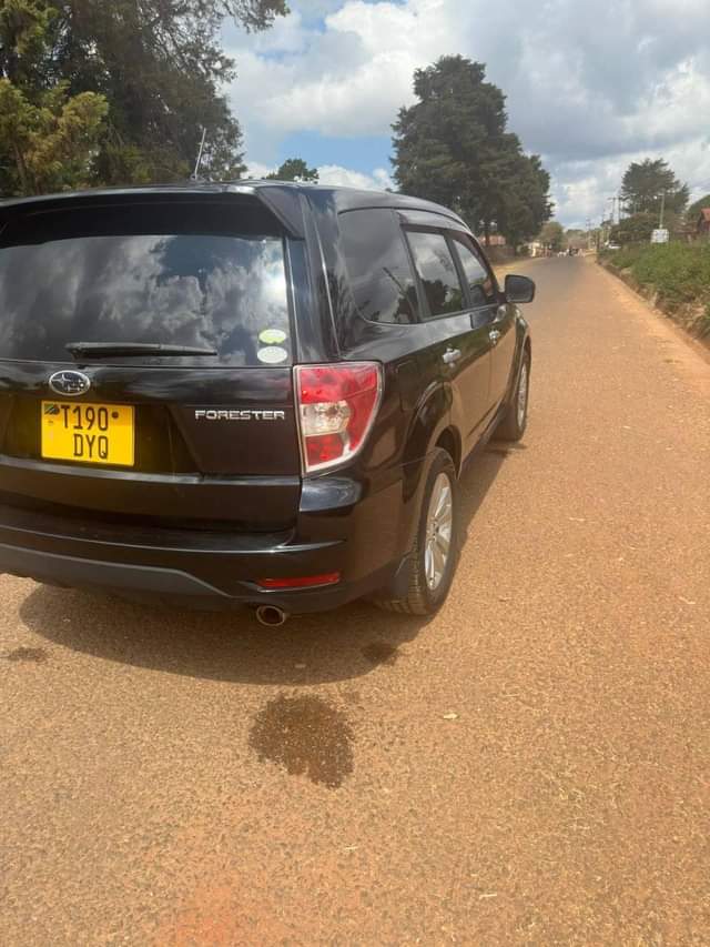 A picture of Nauza gari yangu