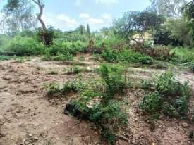 A picture of Kiwanja kipo sokoni 0622574449