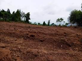 A picture of 50by100 with ready land title At 30m. Nkowe wakiso.