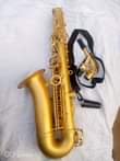 A picture of Alto saxophone