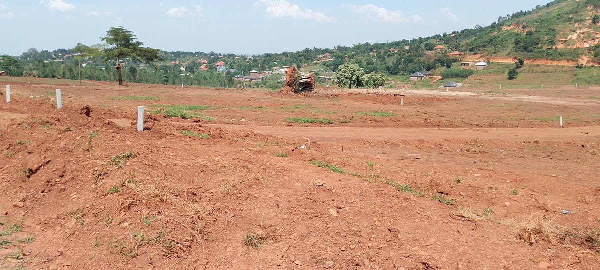 A picture of PLOTS