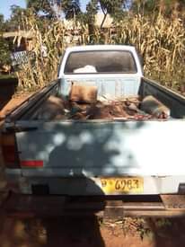 classifieds/cars mazda
