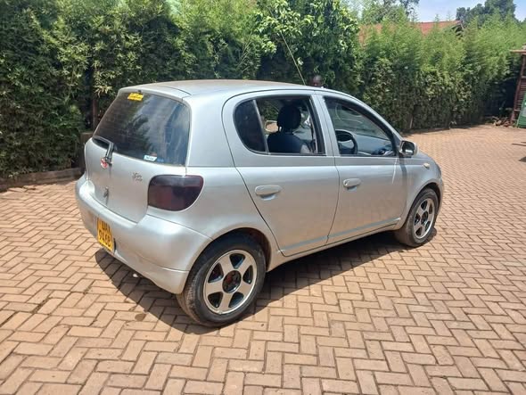 A picture of Vitz