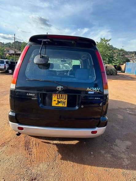A picture of Noah on sale 13m 0706145834