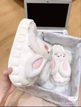 A picture of Shoe