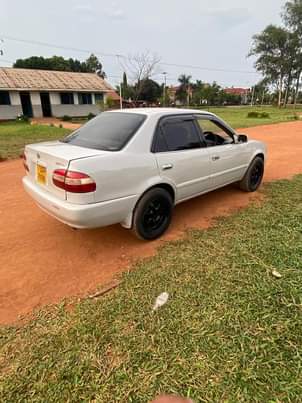 A picture of Toyota Corolla
