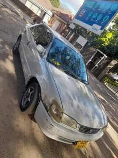 used toyota corolla