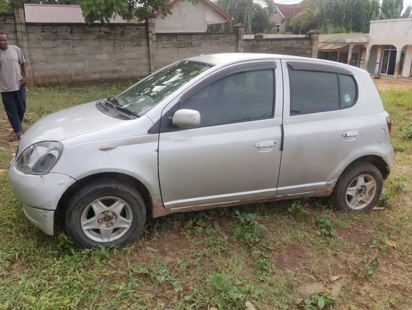 A picture of Vitz