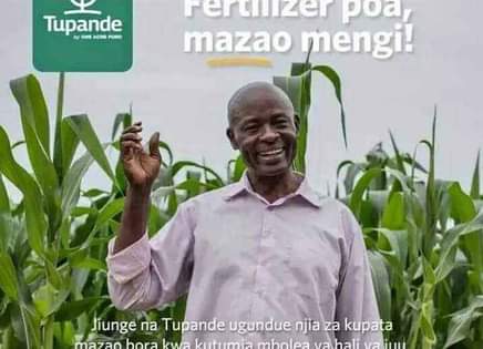 fertilizer