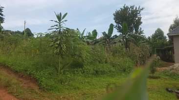 A picture of Hot cake kasanje 