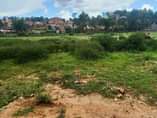 A picture of Land and property