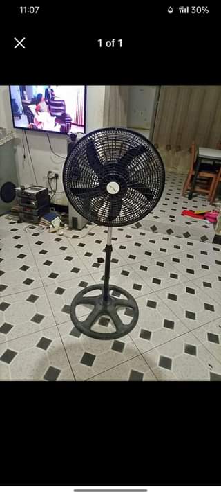 A picture of Feni