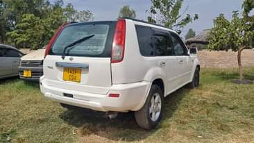 A picture of Nissan xtrey