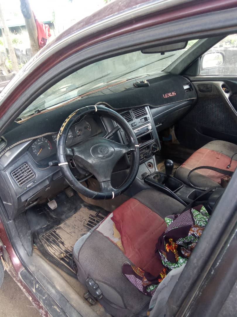 A picture of Carina E 07043283348