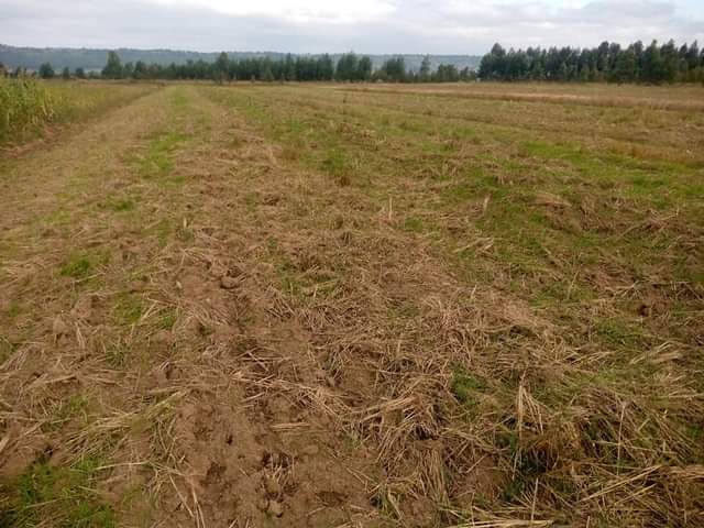land lease