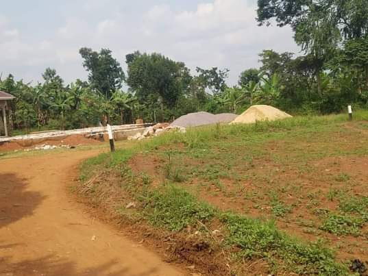 A picture of Land