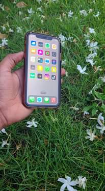 A picture of Iphone 11 Plain
