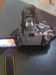 A picture of Nikon 5300