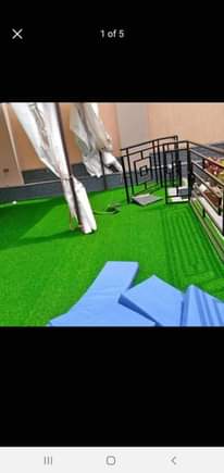A picture of Carpets
