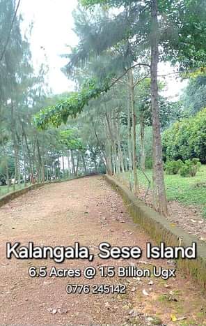 A picture of Titled Plots Land For Sale WhatsApp Call 256776 245142