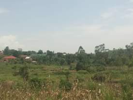 A picture of Quick sale 6.5m 50by60ft located at matugga kavule power and