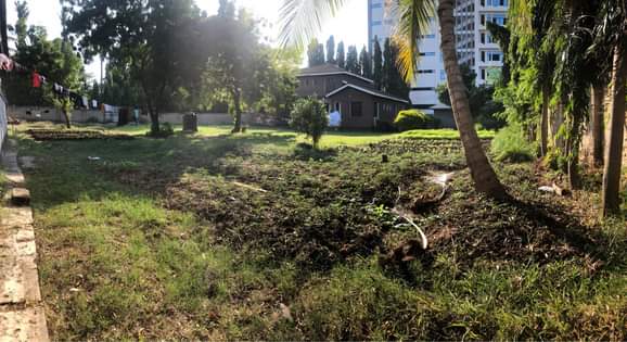 A picture of Eneo Linauzwa