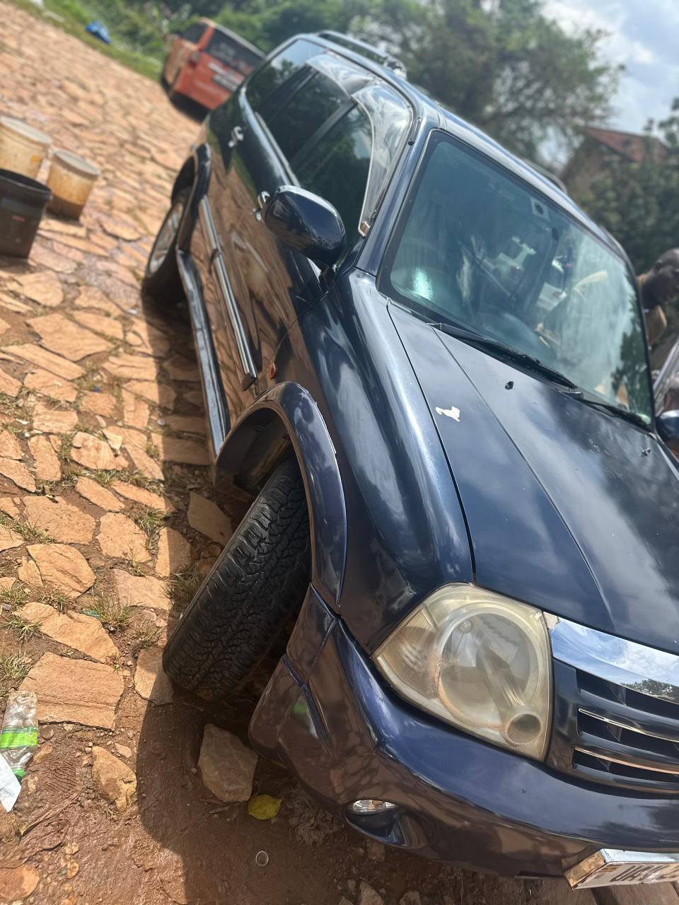 suzuki