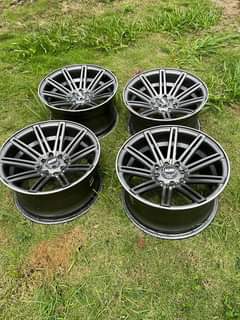 White F.