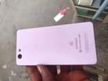A picture of Gionee f103