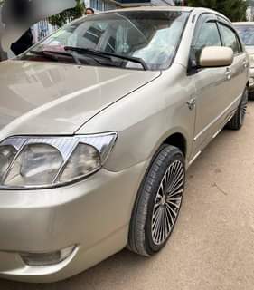 used toyota corolla
