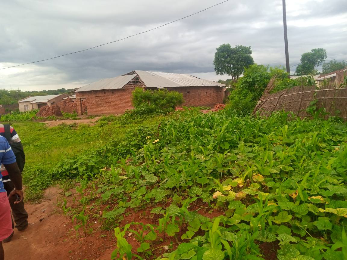 land