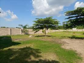 A picture of Mwanza buhongwa mwasonge shule inauzwa