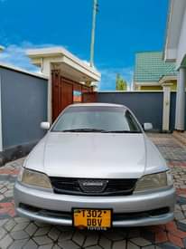 A picture of CARINA 0620356906