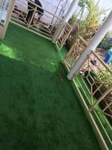 A picture of Grass carpet