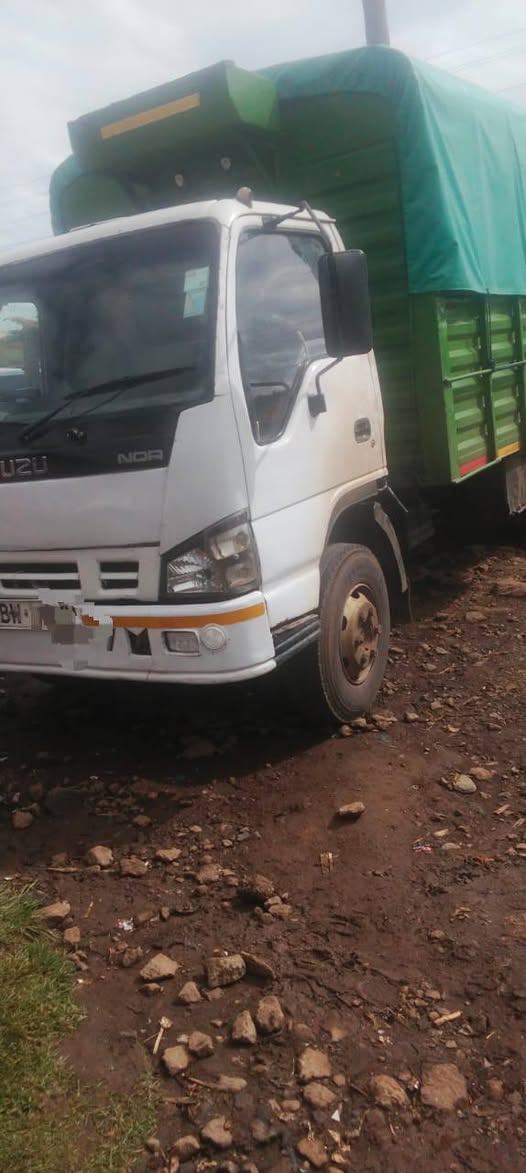 isuzu nqr
