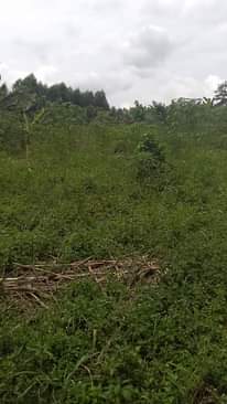 A picture of Land