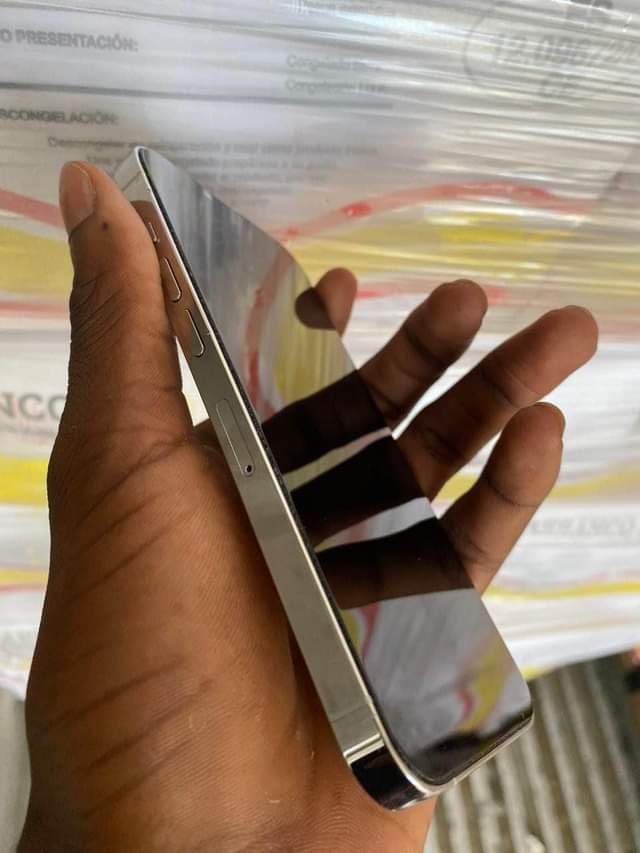 iphone 13pro