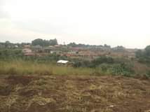 Nanyujja I.