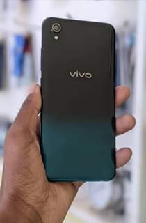 A picture of Vivo y1s