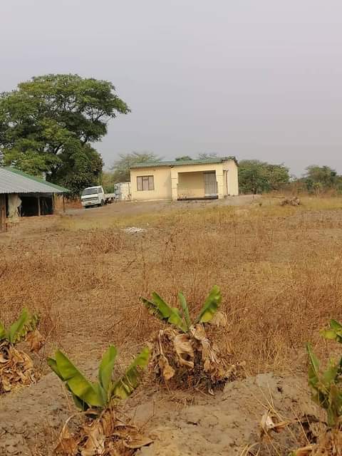property norton